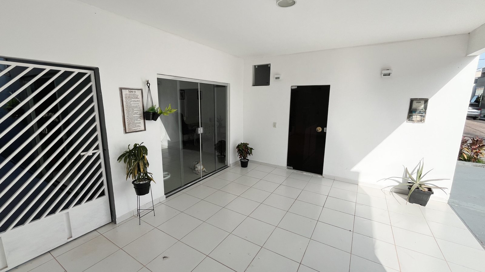 Galeria